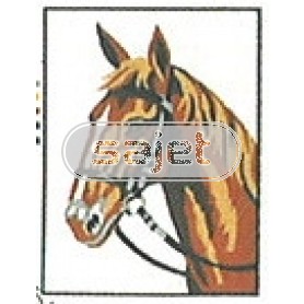 stickpackung paard