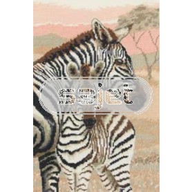 stickpackung zebra met veulen