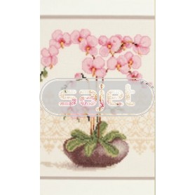 stickpackung orchideeën in vaas
