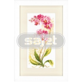 stickpackung orchideeën