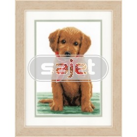 stickpackung labradorpup met rode sjaal