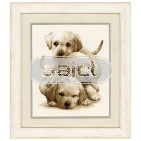 stickpackung drie labradorpups