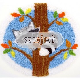 knüpfdecke in het bos, wasbeer in boom