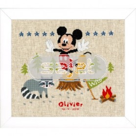 stickpackung mickey mouse, geburt
