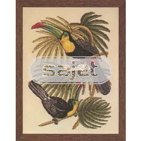 stickpackung vogels, toekans