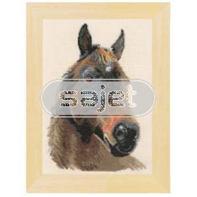 stickpackung paard