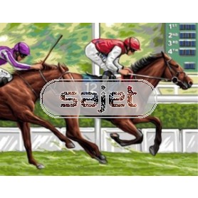 stramin paardenrace
