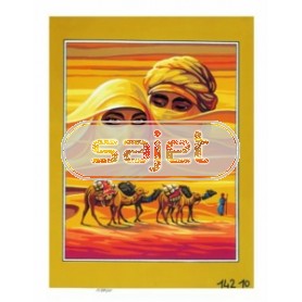 stramin sahara tocht...