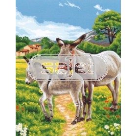 stramin ezel met veulen