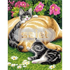 stramin "onafscheidelijk trio"