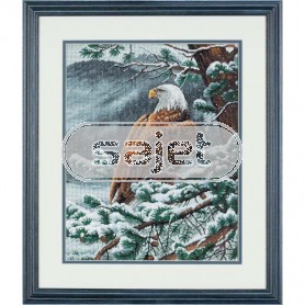 stickpackung adelaar in wintersfeer