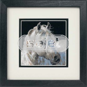 halber kreuzstichpackung schimmel (klein)