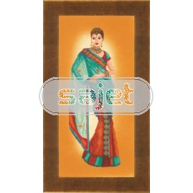 stickpackung indiase dame in blauwe sari