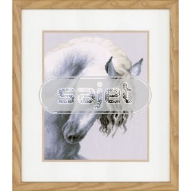 stickpackung "onstuimig paard"