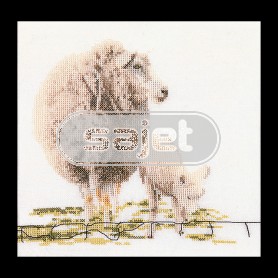 stickpackung schaap met lam