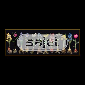 stickpackung voorjaarsbloemen op zwart