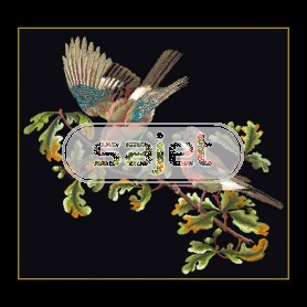 stickpackung vlaamse gaaien op zwart