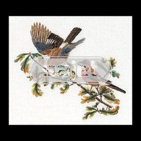 stickpackung vlaamse gaaien