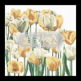 stickpackung tulpenveld