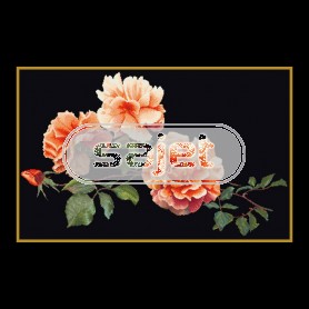 stickpackung just joey op zwart