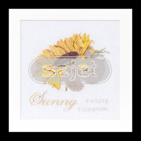 stickpackung geburt sunny