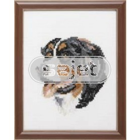 stickpackung berner senner