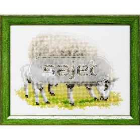 stickpackung schaap met lammetje