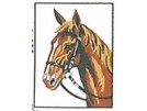 stickpackung paard