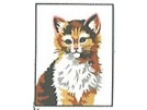 stickpackung poes