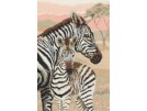 stickpackung zebra met veulen