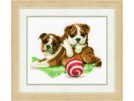 stickpackung buldogs met bal