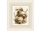 stickpackung drie labradorpups