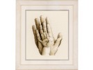 stickpackung hand van klein naar groot