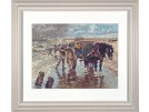 stickpackung cornelis jetses, schelpenvisser