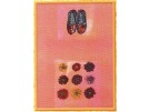 stickpackung ballerinaschoentjes met zinnia's