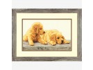 stickpackung golden retriever pups