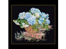 stickpackung hortensia blauw op zwart