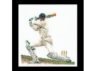 stickpackung cricket