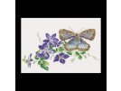 stickpackung blauwtje op clematis