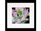 stickpackung tulp close-up
