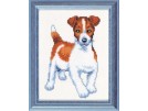 stickpackung jack russel
