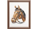 stickpackung paard
