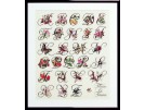 stickpackung flora en fauna, a.b.c.