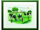 stickpackung koeien op het land