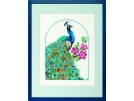 stickpackung pauw met bloemen