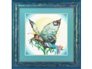 stickpackung vlinder, nacht 