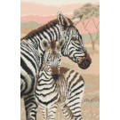 stickpackung zebra met veulen