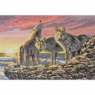 stickpackung wolven bij zonsopgang
