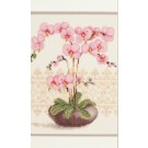 stickpackung orchideeën in vaas