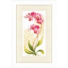 stickpackung orchideeën